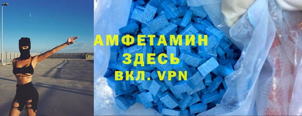 индика Алзамай