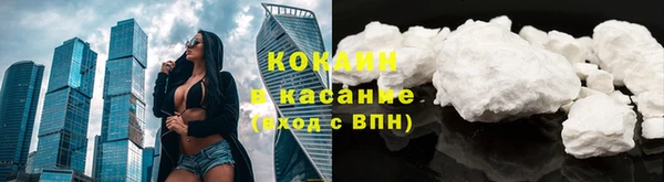 индика Алзамай
