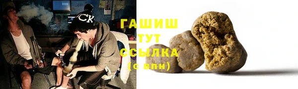 индика Алзамай