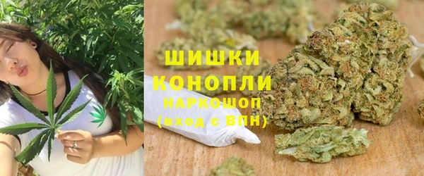индика Алзамай