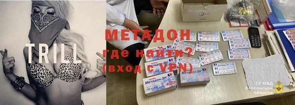 индика Алзамай